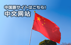 中国語サイト